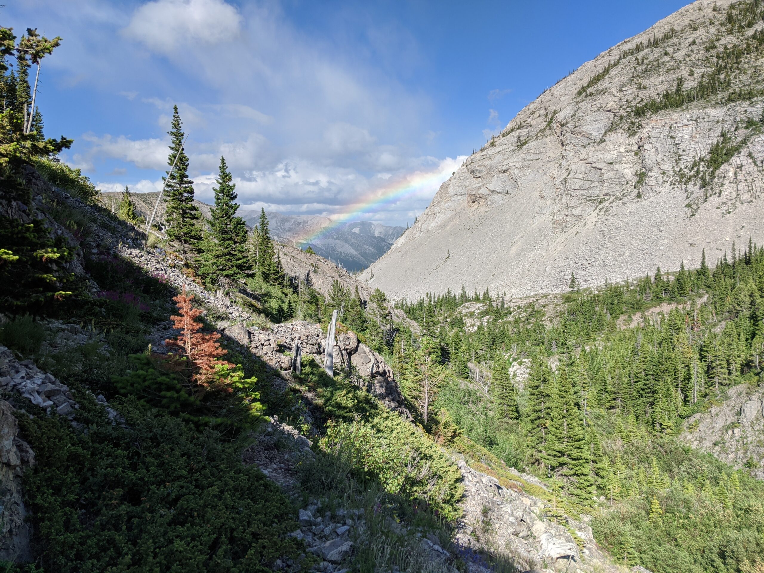 Best Chinese Wall Pack Trips Montana